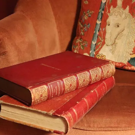 Le Grand Du Sorcier ! Magique Appartement *