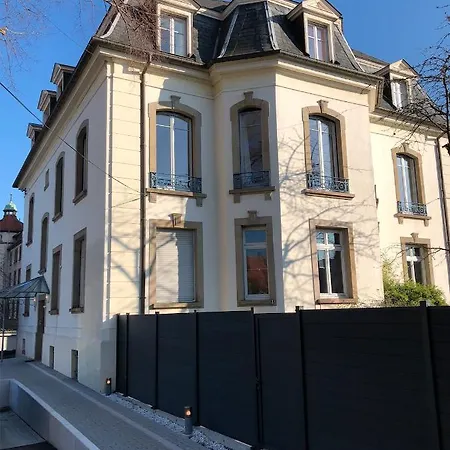 Le Grand Du Sorcier ! Magique Apartment Colmar