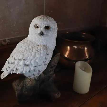 Le Grand Du Sorcier ! Magique 아파트