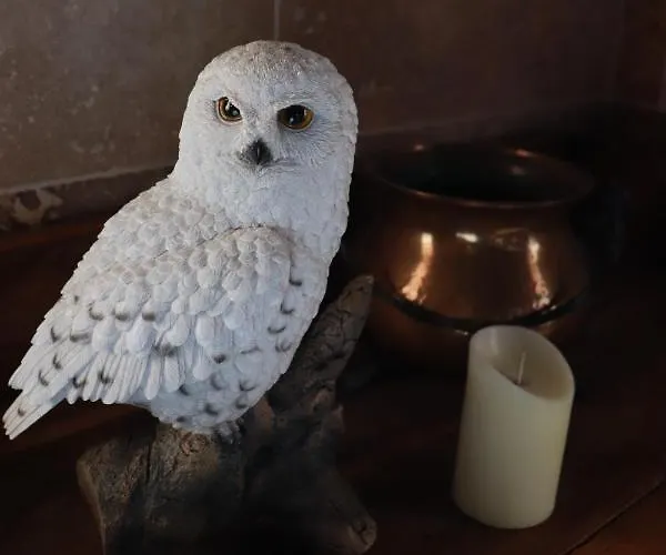 Le Grand Du Sorcier ! Magique Apartment